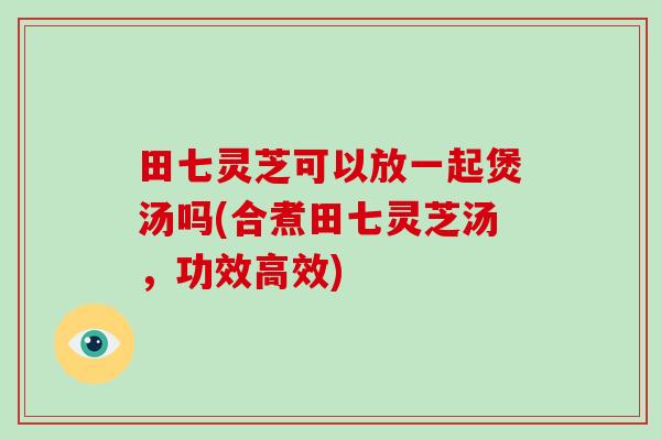 田七灵芝可以放一起煲汤吗(合煮田七灵芝汤，功效高效)-第1张图片-破壁灵芝孢子粉研究指南