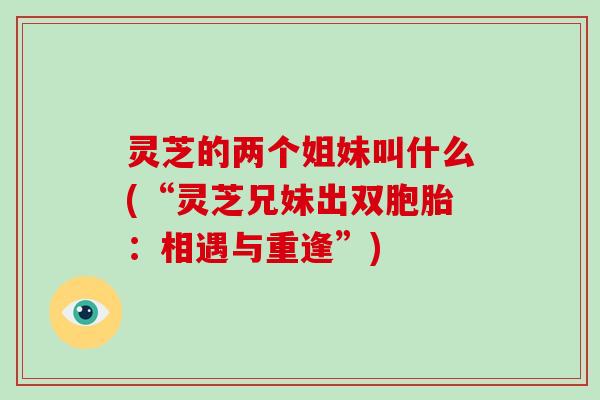 灵芝的两个姐妹叫什么(“灵芝兄妹出双胞胎:相遇与重逢”)-第1张图片-破壁灵芝孢子粉研究指南 灵芝的两个姐妹叫什么(“灵芝兄妹出双胞胎:相遇与重逢”)-第1张图片-破壁灵芝孢子粉研究指南