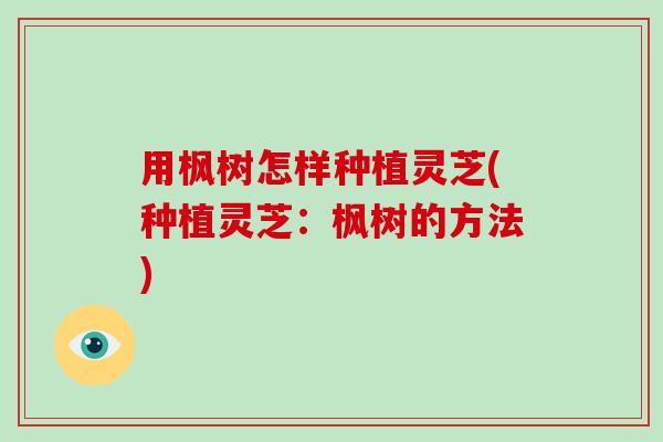 用枫树怎样种植灵芝(种植灵芝：枫树的方法)-第1张图片-破壁灵芝孢子粉研究指南