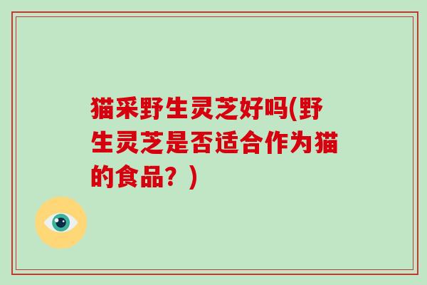 猫采野生灵芝好吗(野生灵芝是否适合作为猫的食品？)-第1张图片-破壁灵芝孢子粉研究指南