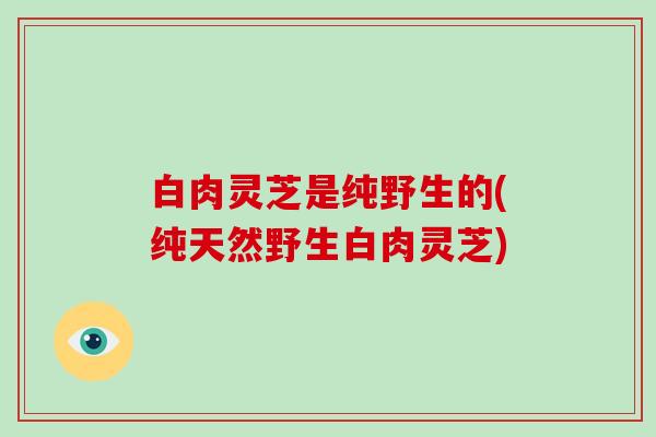 白肉灵芝是纯野生的(纯天然野生白肉灵芝)-第1张图片-破壁灵芝孢子粉研究指南 白肉灵芝是纯野生的(纯天然野生白肉灵芝)-第1张图片-破壁灵芝孢子粉研究指南