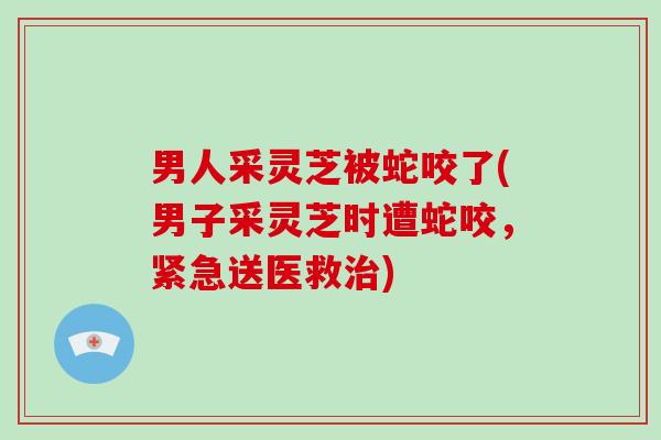 男人采灵芝被蛇咬了(男子采灵芝时遭蛇咬，紧急送医救治)-第1张图片-破壁灵芝孢子粉研究指南