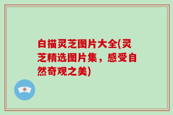 白描灵芝图片大全(灵芝精选图片集,感受自然奇观之美)-第1张图片-破壁灵芝孢子粉研究指南 白描灵芝图片大全(灵芝精选图片集,感受自然奇观之美)-第1张图片-破壁灵芝孢子粉研究指南