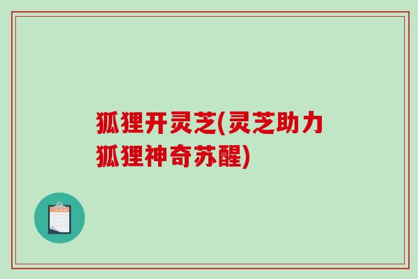 狐狸开灵芝(灵芝助力狐狸神奇苏醒)-第1张图片-破壁灵芝孢子粉研究指南 狐狸开灵芝(灵芝助力狐狸神奇苏醒)-第1张图片-破壁灵芝孢子粉研究指南