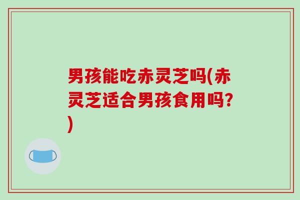 男孩能吃赤灵芝吗(赤灵芝适合男孩食用吗?)-第1张图片-破壁灵芝孢子粉研究指南 男孩能吃赤灵芝吗(赤灵芝适合男孩食用吗?)-第1张图片-破壁灵芝孢子粉研究指南