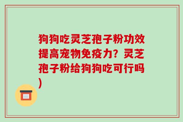 狗狗吃灵芝孢子粉功效提高宠物免疫力？灵芝孢子粉给狗狗吃可行吗)-第1张图片-破壁灵芝孢子粉研究指南