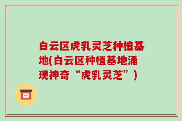白云区虎乳灵芝种植基地(白云区种植基地涌现神奇“虎乳灵芝”)-第1张图片-破壁灵芝孢子粉研究指南