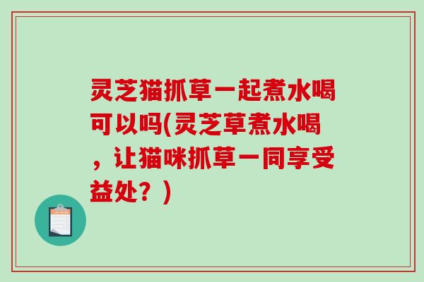 灵芝猫抓草一起煮水喝可以吗(灵芝草煮水喝，让猫咪抓草一同享受益处？)-第1张图片-破壁灵芝孢子粉研究指南