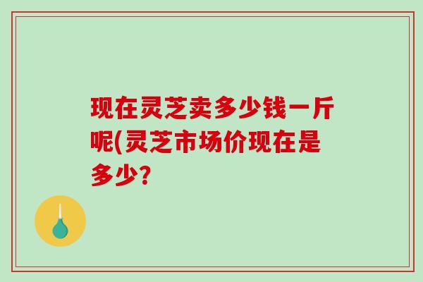 现在灵芝卖多少钱一斤呢(灵芝市场价现在是多少?-第1张图片-破壁灵芝孢子粉研究指南 现在灵芝卖多少钱一斤呢(灵芝市场价现在是多少?-第1张图片-破壁灵芝孢子粉研究指南