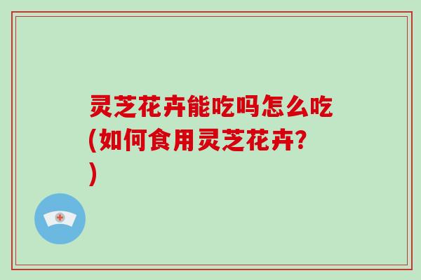灵芝花卉能吃吗怎么吃(如何食用灵芝花卉?)-第1张图片-破壁灵芝孢子粉研究指南 灵芝花卉能吃吗怎么吃(如何食用灵芝花卉?)-第1张图片-破壁灵芝孢子粉研究指南