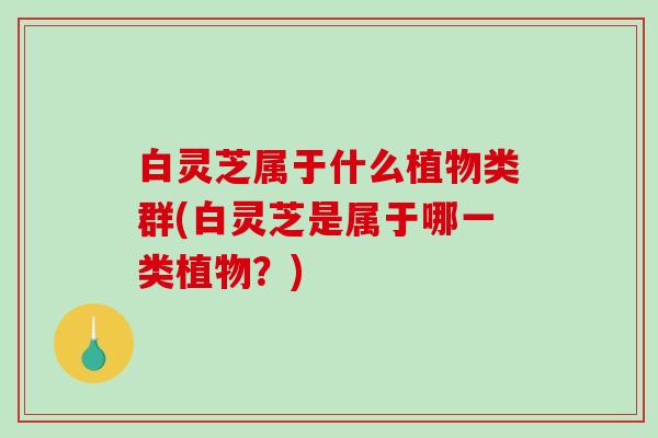白灵芝属于什么植物类群(白灵芝是属于哪一类植物?)-第1张图片-破壁灵芝孢子粉研究指南 白灵芝属于什么植物类群(白灵芝是属于哪一类植物?)-第1张图片-破壁灵芝孢子粉研究指南