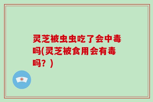 灵芝被虫虫吃了会中毒吗(灵芝被食用会有毒吗?)-第1张图片-破壁灵芝孢子粉研究指南 灵芝被虫虫吃了会中毒吗(灵芝被食用会有毒吗?)-第1张图片-破壁灵芝孢子粉研究指南