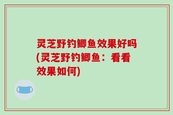 灵芝野钓鲫鱼效果好吗(灵芝野钓鲫鱼：看看效果如何)-第1张图片-破壁灵芝孢子粉研究指南