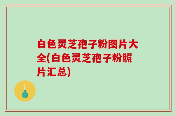 白色灵芝孢子粉图片大全(白色灵芝孢子粉照片汇总)-第1张图片-破壁灵芝孢子粉研究指南 白色灵芝孢子粉图片大全(白色灵芝孢子粉照片汇总)-第1张图片-破壁灵芝孢子粉研究指南