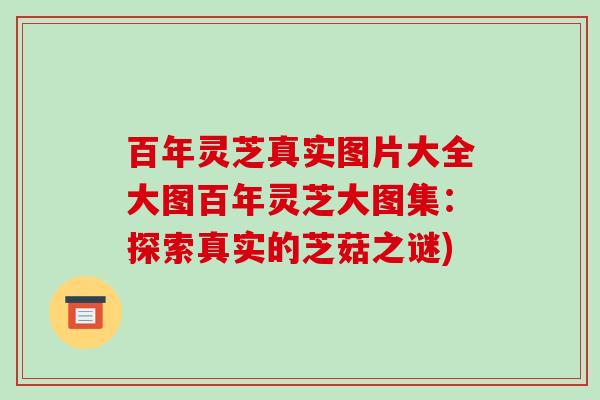百年灵芝真实图片大全大图百年灵芝大图集：探索真实的芝菇之谜)-第1张图片-破壁灵芝孢子粉研究指南