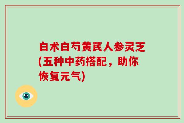 白术白芍黄芪人参灵芝(五种中药搭配，助你恢复元气)-第1张图片-破壁灵芝孢子粉研究指南