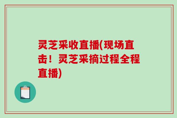灵芝采收直播(现场直击！灵芝采摘过程全程直播)-第1张图片-破壁灵芝孢子粉研究指南