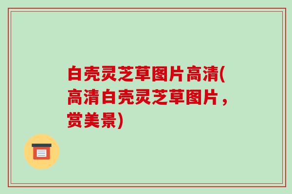 白壳灵芝草图片高清(高清白壳灵芝草图片,赏美景)-第1张图片-破壁灵芝孢子粉研究指南 白壳灵芝草图片高清(高清白壳灵芝草图片,赏美景)-第1张图片-破壁灵芝孢子粉研究指南