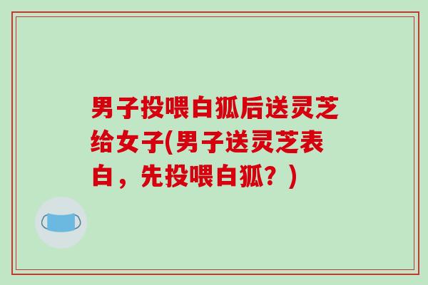 男子投喂白狐后送灵芝给女子(男子送灵芝表白，先投喂白狐？)-第1张图片-破壁灵芝孢子粉研究指南