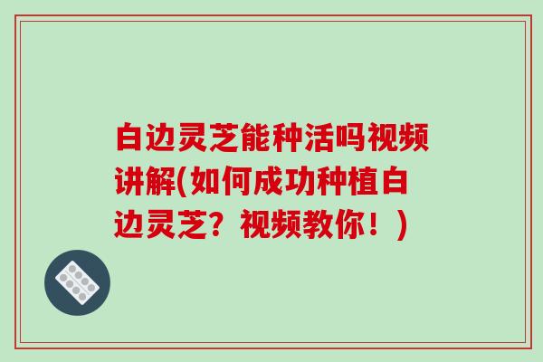 白边灵芝能种活吗视频讲解(如何成功种植白边灵芝？视频教你！)-第1张图片-破壁灵芝孢子粉研究指南