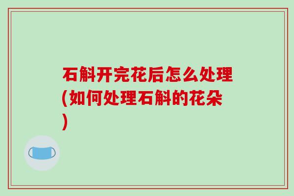 石斛开完花后怎么处理(如何处理石斛的花朵)-第1张图片-破壁灵芝孢子粉研究指南 石斛开完花后怎么处理(如何处理石斛的花朵)-第1张图片-破壁灵芝孢子粉研究指南