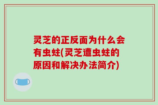 灵芝的正反面为什么会有虫蛀(灵芝遭虫蛀的原因和解决办法简介)-第1张图片-破壁灵芝孢子粉研究指南