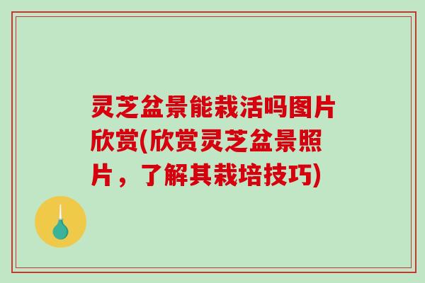 灵芝盆景能栽活吗图片欣赏(欣赏灵芝盆景照片,了解其栽培技巧)-第1张图片-破壁灵芝孢子粉研究指南 灵芝盆景能栽活吗图片欣赏(欣赏灵芝盆景照片,了解其栽培技巧)-第1张图片-破壁灵芝孢子粉研究指南