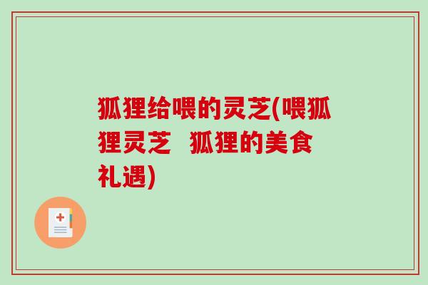 狐狸给喂的灵芝(喂狐狸灵芝  狐狸的美食礼遇)-第1张图片-破壁灵芝孢子粉研究指南