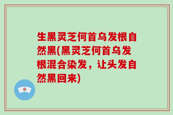 生黑灵芝何首乌发根自然黑(黑灵芝何首乌发根混合染发,让头发自然黑回来)-第1张图片-破壁灵芝孢子粉研究指南 生黑灵芝何首乌发根自然黑(黑灵芝何首乌发根混合染发,让头发自然黑回来)-第1张图片-破壁灵芝孢子粉研究指南