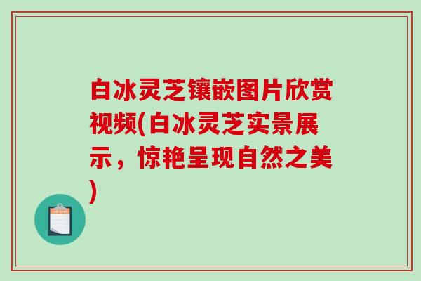 白冰灵芝镶嵌图片欣赏视频(白冰灵芝实景展示,惊艳呈现自然之美)-第1张图片-破壁灵芝孢子粉研究指南 白冰灵芝镶嵌图片欣赏视频(白冰灵芝实景展示,惊艳呈现自然之美)-第1张图片-破壁灵芝孢子粉研究指南