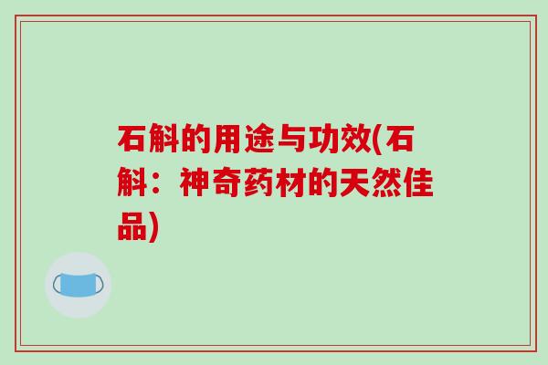 石斛的用途与功效(石斛:神奇药材的天然佳品)-第1张图片-破壁灵芝孢子粉研究指南 石斛的用途与功效(石斛:神奇药材的天然佳品)-第1张图片-破壁灵芝孢子粉研究指南