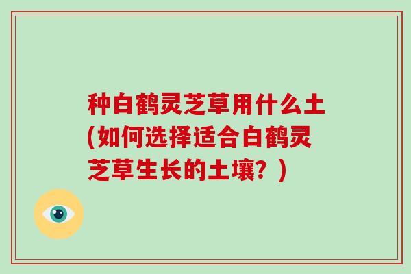 种白鹤灵芝草用什么土(如何选择适合白鹤灵芝草生长的土壤？)-第1张图片-破壁灵芝孢子粉研究指南