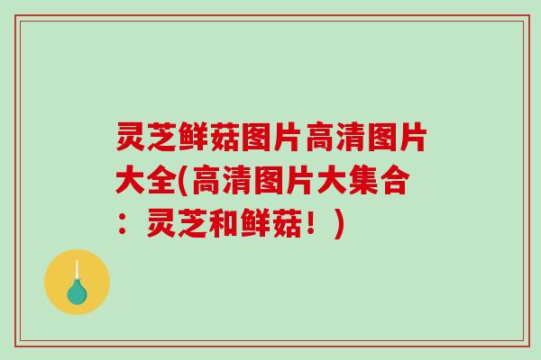 灵芝鲜菇图片高清图片大全(高清图片大集合：灵芝和鲜菇！)-第1张图片-破壁灵芝孢子粉研究指南