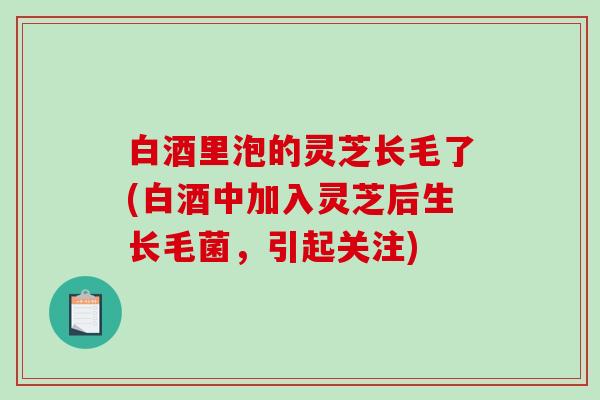 白酒里泡的灵芝长毛了(白酒中加入灵芝后生长毛菌,引起关注)-第1张图片-破壁灵芝孢子粉研究指南 白酒里泡的灵芝长毛了(白酒中加入灵芝后生长毛菌,引起关注)-第1张图片-破壁灵芝孢子粉研究指南