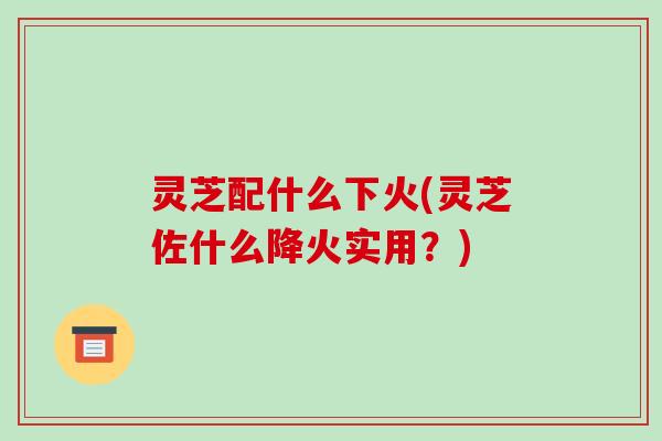 灵芝配什么下火(灵芝佐什么降火实用？)-第1张图片-破壁灵芝孢子粉研究指南
