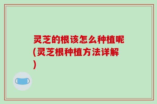 灵芝的根该怎么种植呢(灵芝根种植方法详解)-第1张图片-破壁灵芝孢子粉研究指南