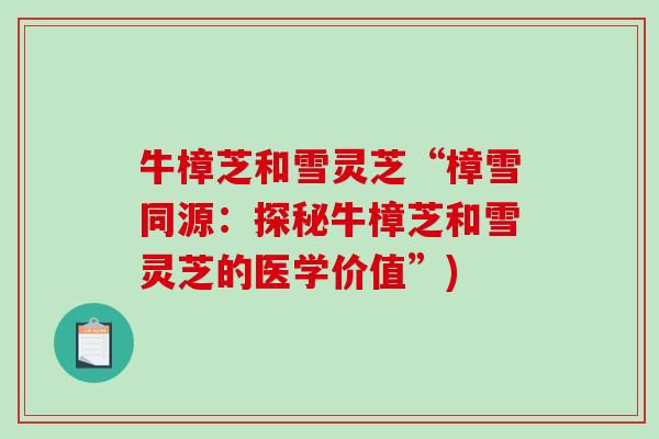 牛樟芝和雪灵芝“樟雪同源：探秘牛樟芝和雪灵芝的医学价值”)-第1张图片-破壁灵芝孢子粉研究指南
