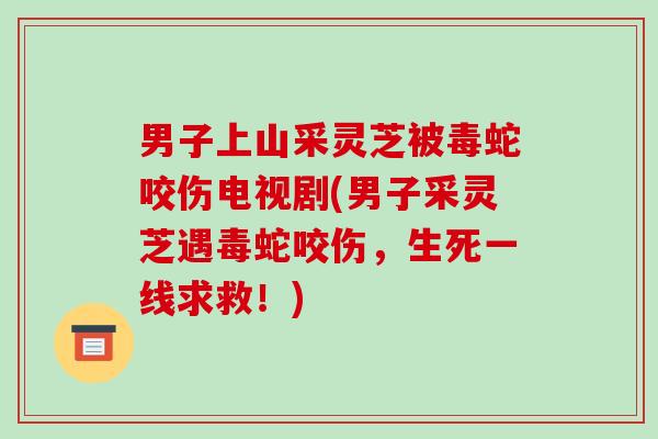 男子上山采灵芝被毒蛇咬伤电视剧(男子采灵芝遇毒蛇咬伤,生死一线求救!)-第1张图片-破壁灵芝孢子粉研究指南 男子上山采灵芝被毒蛇咬伤电视剧(男子采灵芝遇毒蛇咬伤,生死一线求救!)-第1张图片-破壁灵芝孢子粉研究指南