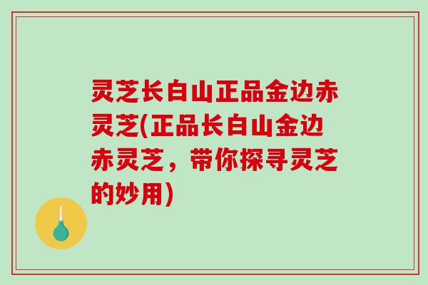 灵芝长白山正品金边赤灵芝(正品长白山金边赤灵芝，带你探寻灵芝的妙用)-第1张图片-破壁灵芝孢子粉研究指南