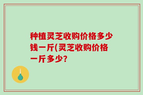 种植灵芝收购价格多少钱一斤(灵芝收购价格一斤多少?-第1张图片-破壁灵芝孢子粉研究指南 种植灵芝收购价格多少钱一斤(灵芝收购价格一斤多少?-第1张图片-破壁灵芝孢子粉研究指南