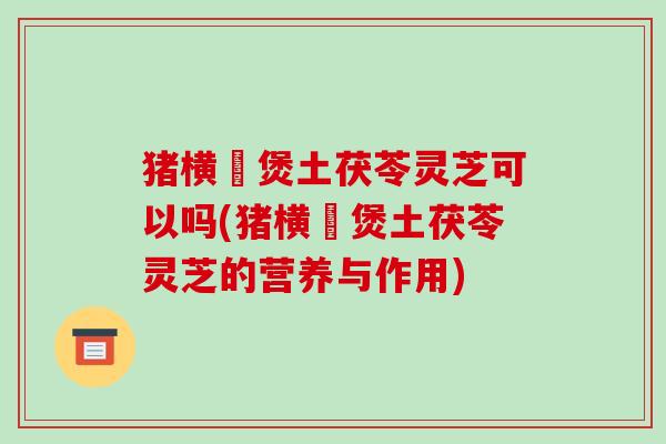 猪横脷煲土茯苓灵芝可以吗(猪横脷煲土茯苓灵芝的营养与作用)-第1张图片-破壁灵芝孢子粉研究指南 猪横脷煲土茯苓灵芝可以吗(猪横脷煲土茯苓灵芝的营养与作用)-第1张图片-破壁灵芝孢子粉研究指南