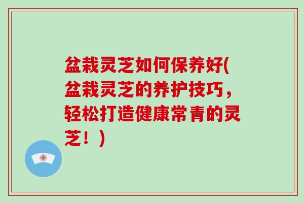 盆栽灵芝如何保养好(盆栽灵芝的养护技巧，轻松打造健康常青的灵芝！)-第1张图片-破壁灵芝孢子粉研究指南