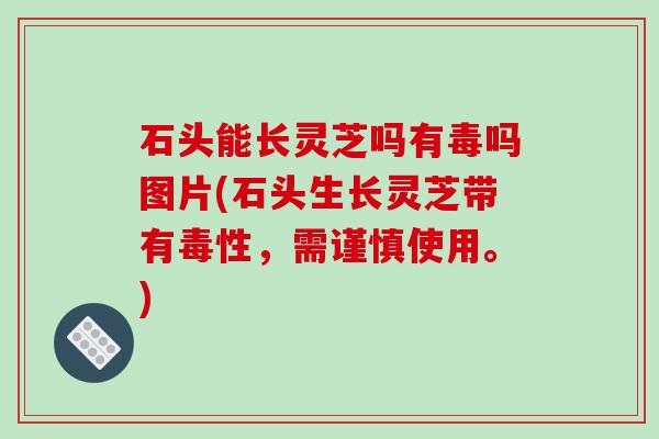 石头能长灵芝吗有毒吗图片(石头生长灵芝带有毒性,需谨慎使用。)-第1张图片-破壁灵芝孢子粉研究指南 石头能长灵芝吗有毒吗图片(石头生长灵芝带有毒性,需谨慎使用。)-第1张图片-破壁灵芝孢子粉研究指南