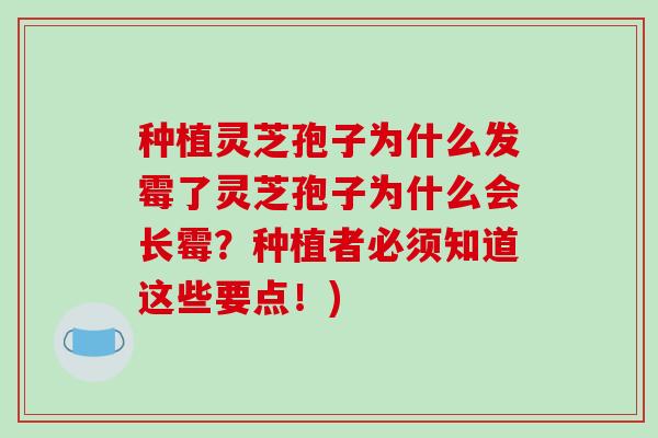 种植灵芝孢子为什么发霉了灵芝孢子为什么会长霉?种植者必须知道这些要点!)-第1张图片-破壁灵芝孢子粉研究指南 种植灵芝孢子为什么发霉了灵芝孢子为什么会长霉?种植者必须知道这些要点!)-第1张图片-破壁灵芝孢子粉研究指南