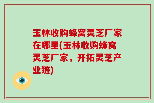 玉林收购蜂窝灵芝厂家在哪里(玉林收购蜂窝灵芝厂家，开拓灵芝产业链)-第1张图片-破壁灵芝孢子粉研究指南