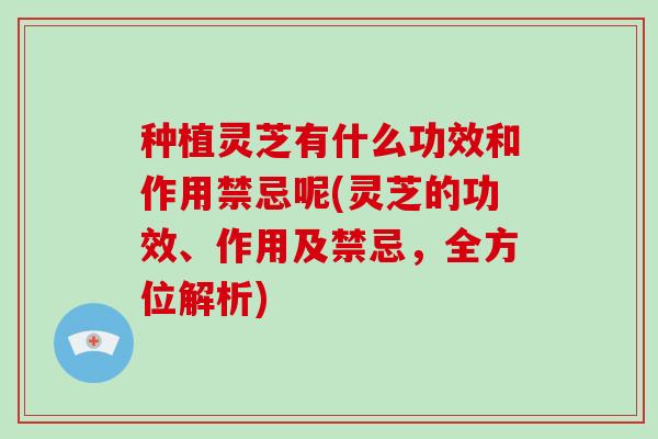 种植灵芝有什么功效和作用禁忌呢(灵芝的功效、作用及禁忌，全方位解析)-第1张图片-破壁灵芝孢子粉研究指南