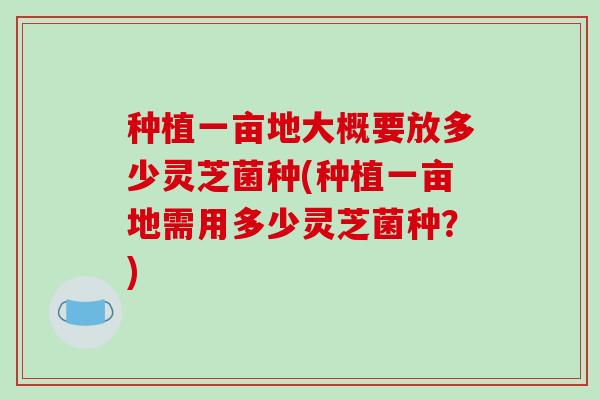 种植一亩地大概要放多少灵芝菌种(种植一亩地需用多少灵芝菌种?)-第1张图片-破壁灵芝孢子粉研究指南 种植一亩地大概要放多少灵芝菌种(种植一亩地需用多少灵芝菌种?)-第1张图片-破壁灵芝孢子粉研究指南