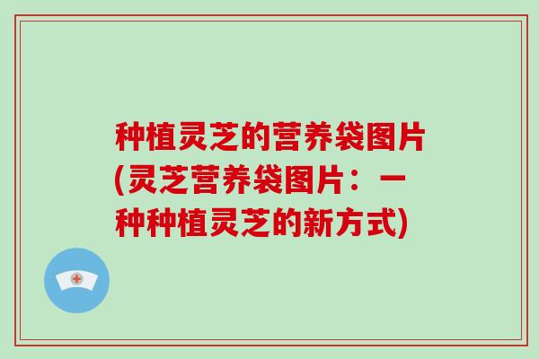 种植灵芝的营养袋图片(灵芝营养袋图片：一种种植灵芝的新方式)-第1张图片-破壁灵芝孢子粉研究指南