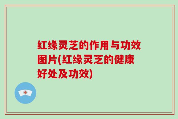 红缘灵芝的作用与功效图片(红缘灵芝的健康好处及功效)-第1张图片-破壁灵芝孢子粉研究指南