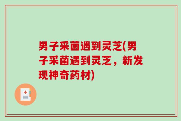 男子采菌遇到灵芝(男子采菌遇到灵芝,新发现神奇药材)-第1张图片-破壁灵芝孢子粉研究指南 男子采菌遇到灵芝(男子采菌遇到灵芝,新发现神奇药材)-第1张图片-破壁灵芝孢子粉研究指南
